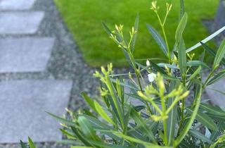 Haus kaufen in 82362 Weilheim, Top gepflegte DHH in Weilheim