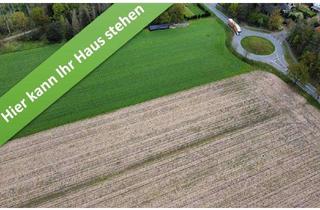 Haus kaufen in Oistingweg, 29308 Winsen (Aller), Mit Grundstück, ein Komforthaus für jedermann in Winsen.