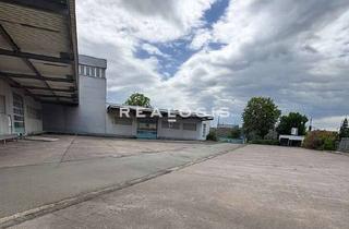 Gewerbeimmobilie mieten in 99734 Nordhausen, Nordhausen | ca. 11.000 m² Hallenfläche | teilbar ab 500 m² | Kranbahnen