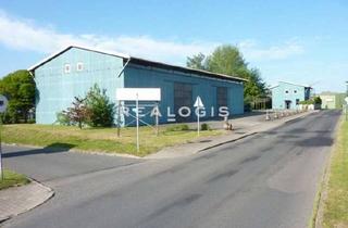 Gewerbeimmobilie mieten in 09618 Brand-Erbisdorf, Brand-Erbisdorf | ca. 600 m² Hallenfläche | teilbar ab ca. 300 m² | Kranbahn | ebenerdig