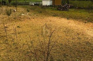 Grundstück zu kaufen in 23689 Pansdorf, PERFEKT FÜR FAMILIEN UND OSTSEELIEBHABER