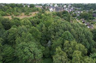 Gewerbeimmobilie kaufen in 45468 Eppinghofen, Grüne Oase mitten in Mülheim: Waldfläche zwischen der Innenstadt und Winkhausen
