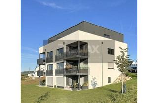 Wohnung kaufen in 95615 Marktredwitz, Attraktive 2-Zimmerwohnung mit Terrasse im Souterrain