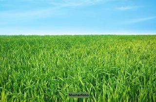 Immobilie kaufen in 04610 Meuselwitz, Landwirtschaftsfläche
