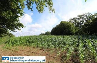 Immobilie kaufen in 31749 Auetal, Ackerflächen im Auetal; Verkauf gegen Gebot