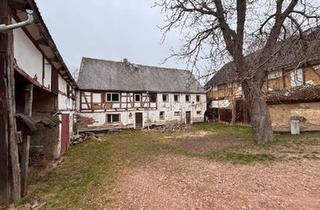 Haus kaufen in 01683 Nossen, Nossen - Idyllischer denkmalgeschützter Dreiseithof für Liebhaber