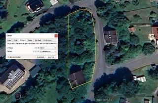 Haus kaufen in 35619 Braunfels, Braunfels - Haus mit Weitblick, Quelle & ca. 800 m² zusätzliches Bauland