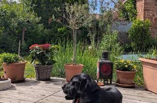 Haus kaufen in 63505 Langenselbold, Langenselbold - Zweifamilienhaus in Langenselbold - ohne Makler