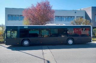 Haus kaufen in 56068 Koblenz, Koblenz - Wohnbus als Tiny Haus