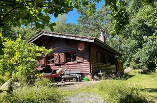 Einfamilienhaus kaufen in 29386 Hankensbüttel, Hankensbüttel - Holzblockhaus - naturnahes Wohnen mit maximalem Komfort