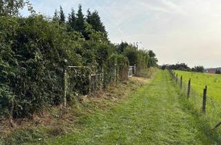 Haus kaufen in 99518 Bad Sulza, Bad Sulza - Gartengrundstück mit ruhiger Lage in Thüringen (Sonnendorf)