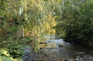 Haus kaufen in 34298 Helsa, Helsa - Idyllisches HausLosse in Helsa bei Kassel für Naturliebhabern!!!