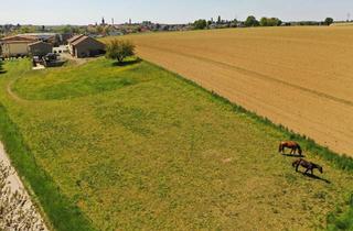 Haus kaufen in 75031 Eppingen, Eppingen - Modernisierter Aussiedlerhof mit Pferdestall, Wiese und Werkstat