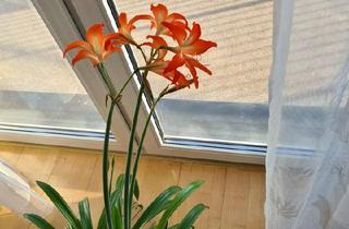 Wohnung kaufen in 15566 Schöneiche, Schöneiche bei Berlin - ETW SCHÖNEICHE; MITTEN IM GRÜNEN; KEIN STRASSENLÄRM