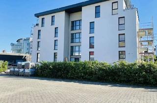 Wohnung mieten in 64354 Reinheim, Moderne 3 Zimmer Wohnung in der Mitte von Reinheim mit EBK