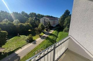 Wohnung mieten in Stirnbergstraße 26, 92676 Eschenbach, Frisch sanierte 4-Zimmer-Wohnung mit Balkon, neuer Küche in Erstbezug – unbefristet zu vermieten