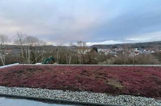 Wohnung mieten in Römerstraße 12, 72488 Sigmaringen, 1,5-Zimmer-Wohnung