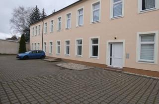 Wohnung mieten in Bismarckstr. 36 HH, 01257 Niedersedlitz, Azubis & Studenten aufgepasst! 1 Zimmer Appartment zu vermieten