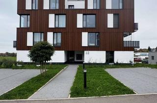 Wohnung mieten in Bahnhofstraße 12, 72290 Loßburg, 3-Zimmer-Neubau-Wohnung mit Terrasse und EBK
