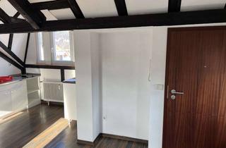 Lofts mieten in 73730 Esslingen am Neckar, Stilvolle, modernisierte 1-Zimmer-Wohnung mit EBK in Esslingen
