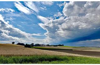 Einfamilienhaus kaufen in 85235 Odelzhausen, EFH Paradies mit Ökogarten und separatem Bauplatz