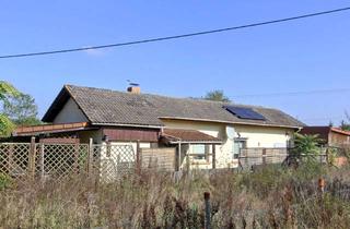 Haus kaufen in Dromersheimer Chaussee 48, 55411 Bingen, Natur genießen, Freiheit leben – Ihr Zuhause im Grünen wartet!