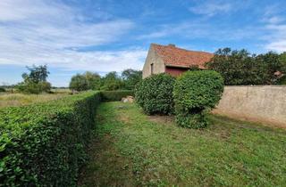 Einfamilienhaus kaufen in 15328 Küstriner Vorland, viel Platz - Einfamilienhaus - Stall - Platz
