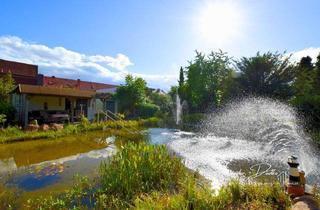 Haus kaufen in 39359 Calvörde, Fachwerkromantik & Freiheit pur – Ihr Rückzugsort mit großem Grundstück