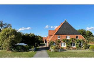 Haus kaufen in 19273 Amt Neuhaus, Elbtalaue: Gepflegter Resthof in direkter Deichlage mit Elbblick