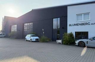 Gewerbeimmobilie mieten in Boschstraße, 63110 Rodgau, Exklusive Gewerbehalle mit hochwertiger Ausstattung