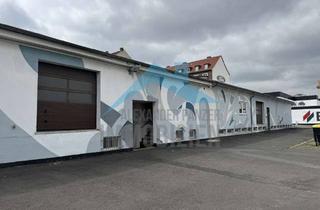 Büro zu mieten in 34117 Nord-Holland, Großzügige Lagerfläche mit Büroanbau in zentraler Lage von Kassel!