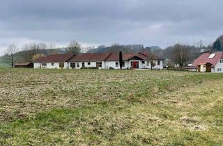 Grundstück zu kaufen in 32689 Kalletal, Baugrundstück in naturnaher Lage von Kalletal-Bavenhausen - ideal für Ihr EFH oder zwei DHH