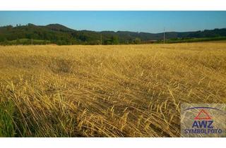 Gewerbeimmobilie kaufen in 90579 Langenzenn, Ackerland in Langenzenn zu verkaufen!