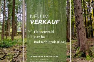Gewerbeimmobilie kaufen in 82433 Bad Kohlgrub, Verkaufe 2,42 ha Fichtenwald in 82433 Bad Kohlgrub (GAP)