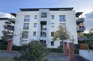 Wohnung kaufen in Käthe-Kollwitz-Ufer 73b, 01307 Johannstadt-Nord, MIT TERRASSE UND GARTENANTEIL - schöne 3 Zimmer Wohnung - Nähe Elbwiesen und Uniklinik