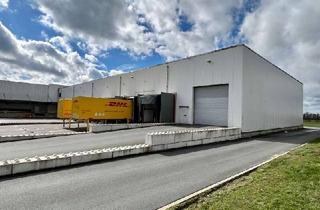 Gewerbeimmobilie mieten in 59557 Lippstadt, Attraktive Lagerhalle mit Autobahnnähe und Rampenandienung