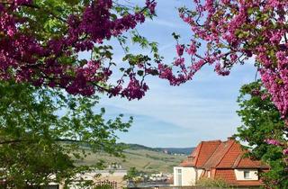 Anlageobjekt in 55411 Bingen, 2026 vermieten oder Ihr neues Zuhause am Rochus Berg? 4 Zimmer ETW, Barrierefreiheit möglich!