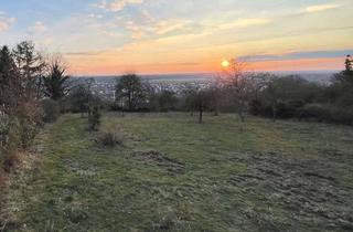 Grundstück zu kaufen in 63801 Kleinostheim, Ihr Baugrundstück in Alleinlage am Wald mit Blick nach Frankfurt