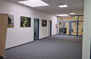 Büro zu mieten in Blankenauer Str. 15, 37688 Beverungen, Büroräume ab 20m² zu vermieten