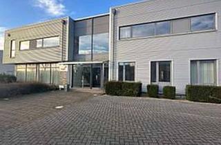 Büro zu mieten in Daimlerstraße 5-8, 48477 Hörstel, Moderne Büroräume in attraktiver Lage