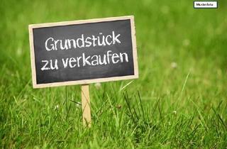 Grundstück zu kaufen in 99510 Ilmtal-Weinstraße, Grundstück in 99510 Ilmtal-Weinstraße, Oßmannstedter Str.