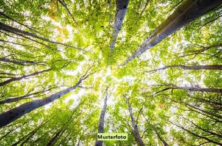 Immobilie kaufen in 03249 Sonnewalde, Unbebaute Waldflächen