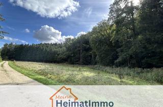 Immobilie kaufen in 89350 Dürrlauingen, Landwirtschaftliche Fläche und Waldfläche in Mehrenstetten