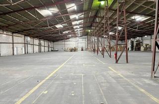 Gewerbeimmobilie mieten in 67136 Fußgönheim, 2 Lagerhallen mit ebenerdiger Andienung, Nähe BAB 650