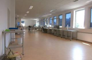 Büro zu mieten in 82362 Weilheim, HELL & MODERN, FÜR ELEKTRONIK PRODUKTION / ENTWICKLUNG / BÜRO / LAGER