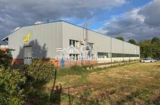 Büro zu mieten in Daimlerstraße 5-8, 48477 Hörstel, Moderne Industriehalle mit Portalkran, LKW-Rampe und optimaler Anbindung