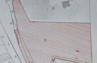 Grundstück zu kaufen in 27251 Neuenkirchen, Großzügige Gewerbefläche in verkehrsgünstiger Lage in Neuenkirchen zu verkaufen
