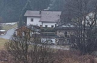 Einfamilienhaus kaufen in 94065 Waldkirchen, Waldkirchen - Einfamilienhaus