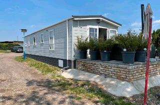 Haus kaufen in 06785 Oranienbaum-Wörlitz, Oranienbaum-Wörlitz - Schönes Tiny-House - gute Zimmeraufteilung - viel Platz