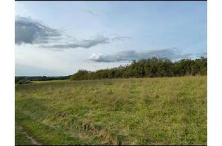 Haus kaufen in 93180 Deuerling, Deuerling - 2 Zusammengebaute Häuser auf großzügigem Baugrund